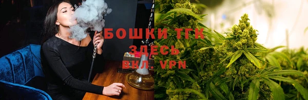 spice Абинск