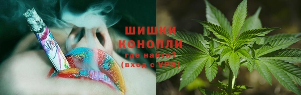 ГАЛЛЮЦИНОГЕННЫЕ ГРИБЫ Алзамай