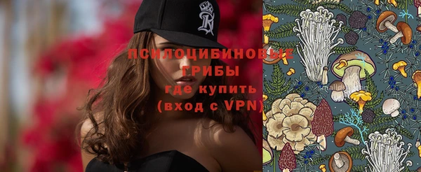 apvp Абаза
