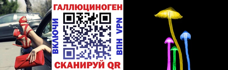 Галлюциногенные грибы Psilocybine cubensis  магазин  наркотиков  блэк спрут вход  Чухлома 